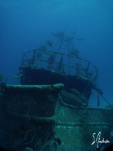 This image was taken last Tuesday while diving on the wre... by Steven Anderson 